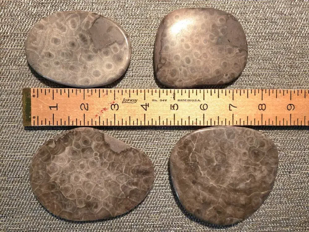 Set of 4 Polished Petoskey Stone Fossil Coral Drink Coasters with Cork Backing